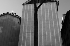 Bianca-Maria Veitl - Baumhaus Züri