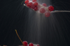 Brigitte Stehle - Johannisbeeren
