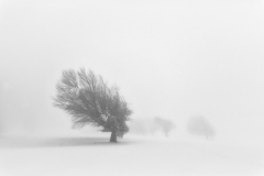 Eric Axhausen - Allein dem Wind standhalten