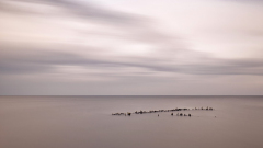 Eric Axhausen - Am Meer
