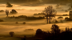 Eric Axhausen - Twins im Morgennebel