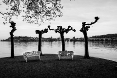 Martin  Reiling - Still ruht der See