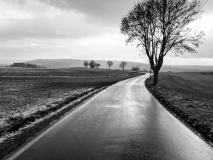 Martin  Reiling - Freie Fahrt