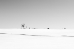 Martin  Reiling - Winterpfad