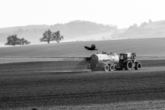 Martin  Reiling - Landschaftspflege