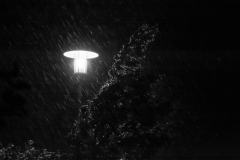 Martin  Reiling - Regenlicht